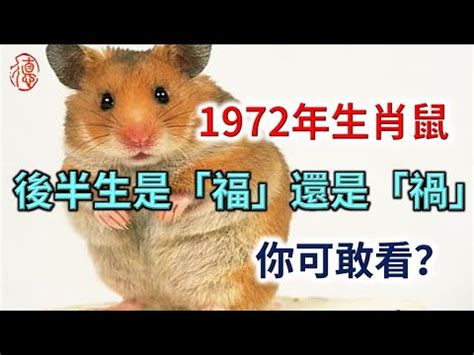 72年次五行|1972年生肖鼠是什么命 1972年属鼠一生命运